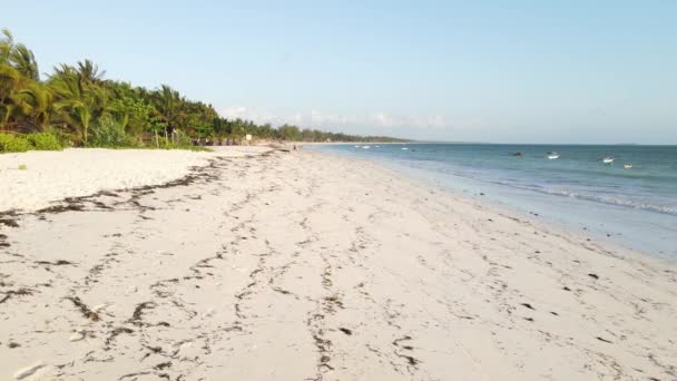 Deze Stockvideo Toont Een Leeg Strand Het Eiland Zanzibar Tanzania — Stockvideo
