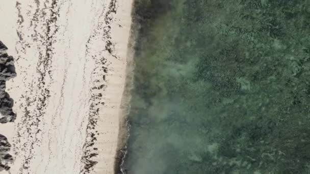 Видео Показывает Пустой Пляж Острове Занзибар Танзания — стоковое видео