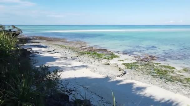 Este Video Muestra Una Playa Vacía Isla Zanzíbar Tanzania — Vídeo de stock