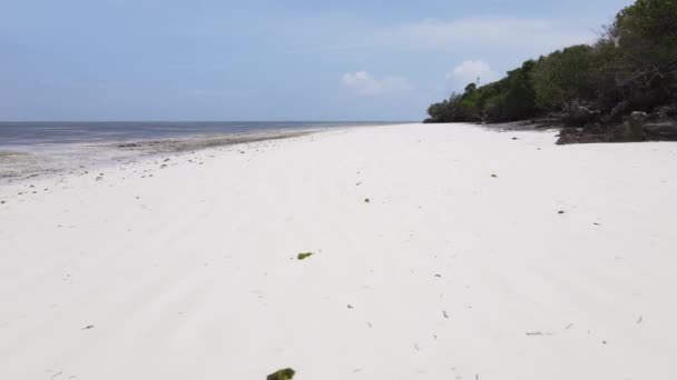 Stock Video Shows Empty Beach Island Zanzibar Tanzania — Stock Video