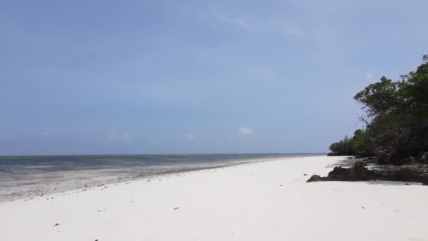 Stock Video Shows Empty Beach Island Zanzibar Tanzania — Stock Video