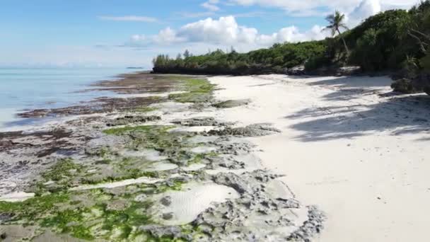 Nagranie Pokazuje Pustą Plażę Wyspie Zanzibar Tanzania — Wideo stockowe