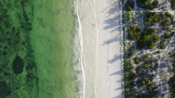โอน แสดงชายหาดท างเปล าบนเกาะซานซ บาร แทนซาเน — วีดีโอสต็อก