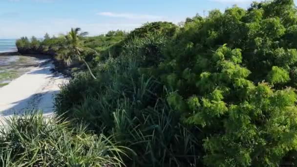 这段录像展示了坦桑尼亚桑给巴尔岛上一个空旷的海滩 — 图库视频影像
