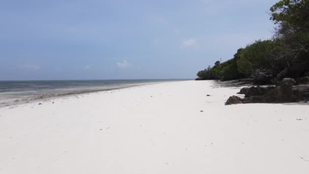 Stock Video Shows Empty Beach Island Zanzibar Tanzania — Stock Video