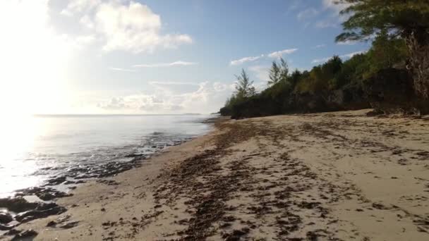 Nagranie Pokazuje Pustą Plażę Wyspie Zanzibar Tanzania — Wideo stockowe