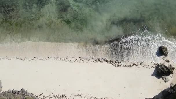 Deze Stockvideo Toont Een Leeg Strand Het Eiland Zanzibar Tanzania — Stockvideo