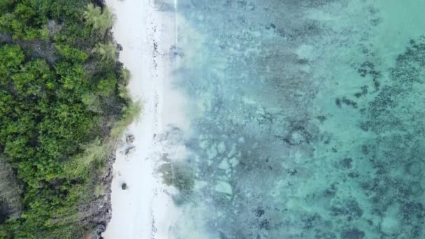 Állomány Videó Egy Üres Strandot Mutat Zanzibár Szigetén Tanzániában — Stock videók