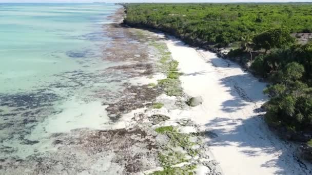 Állomány Videó Egy Üres Strandot Mutat Zanzibár Szigetén Tanzániában — Stock videók