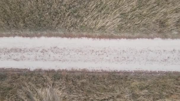 Цьому Знімку Зображено Порожню Дорогу Полі Протягом Дня — стокове відео