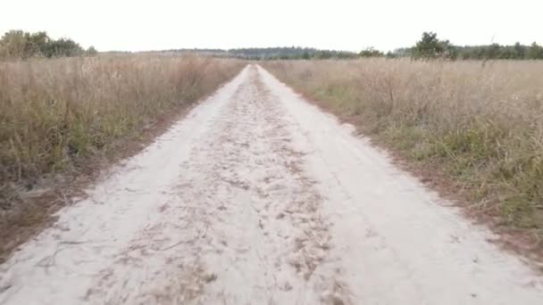 Stock Footage Shows Empty Road Field Day — Stock Video