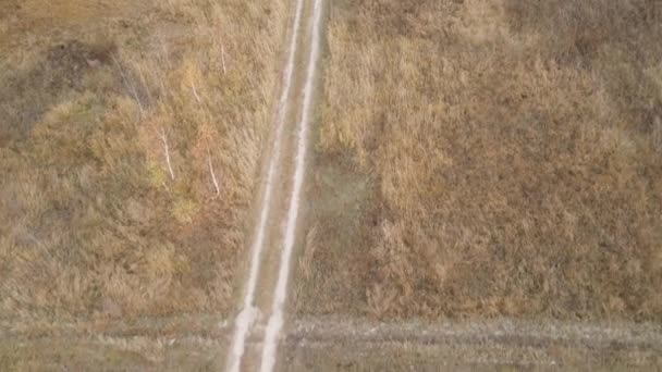 Esta Filmagem Mostra Uma Estrada Vazia Num Campo Durante Dia — Vídeo de Stock