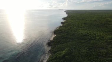 Zanzibar adası kıyıları, Tanzanya çalılıklarla kaplı.