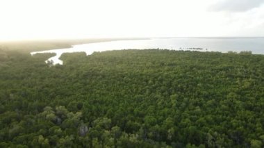 Zanzibar adası kıyıları, Tanzanya çalılıklarla kaplı.