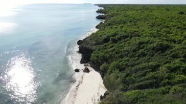 Zanzibar adası kıyıları, Tanzanya çalılıklarla kaplı.