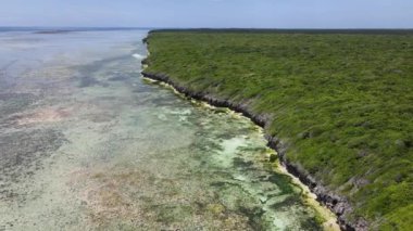 Zanzibar adası kıyıları, Tanzanya çalılıklarla kaplı.