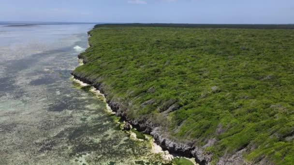 Costa da ilha de Zanzibar, na Tanzânia, coberta com moitas — Vídeo de Stock