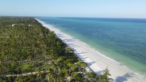 Zanzibar, Tanzanya - yeşil çalılıklarla kaplı okyanus kıyısı — Stok video