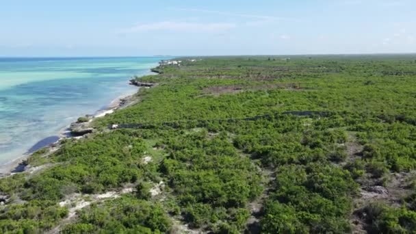 Costa da ilha de Zanzibar, na Tanzânia, coberta com moitas — Vídeo de Stock