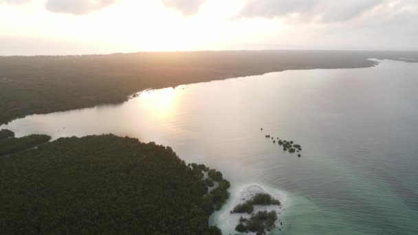 タンザニアのザンジバル-緑の茂みで覆われた海の海岸 — ストック動画