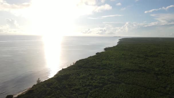 Занзібар (Танзанія) - океанський берег, вкритий зеленими заростями — стокове відео