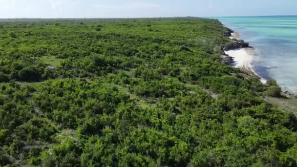 Costa de la isla de Zanzíbar, Tanzania cubierta de matorrales — Vídeos de Stock
