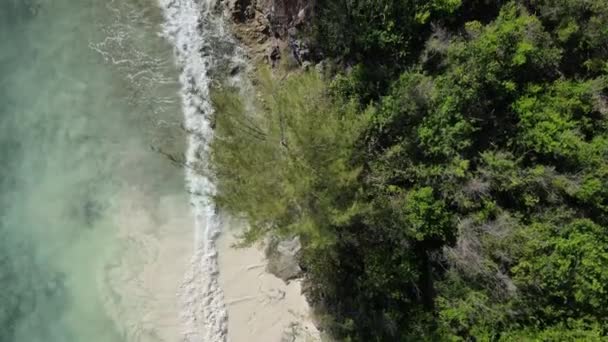 Берег острова Занзібар (Танзанія) вкритий цикатами. — стокове відео
