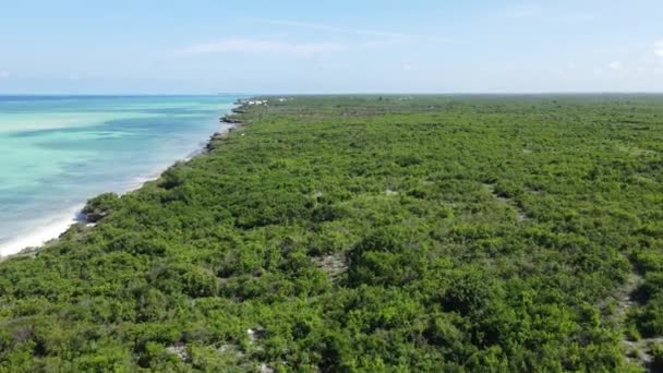 Zanzíbar, Tanzania - orilla del océano cubierta de matorrales verdes — Vídeos de Stock