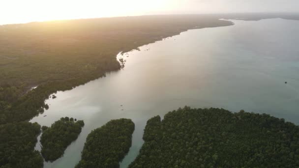 Ακτή του νησιού Ζανζιβάρη, Τανζανία καλυμμένη με θάμνους — Αρχείο Βίντεο