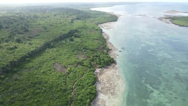 Costa da ilha de Zanzibar, na Tanzânia, coberta com moitas — Vídeo de Stock