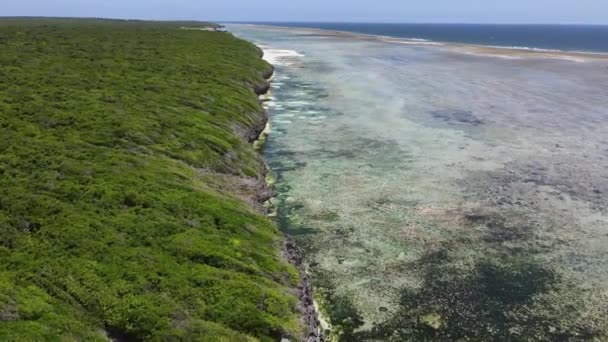 Costa da ilha de Zanzibar, na Tanzânia, coberta com moitas — Vídeo de Stock