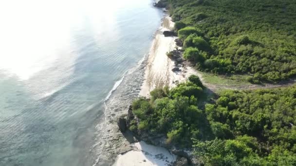 Берег острова Занзібар (Танзанія) вкритий цикатами. — стокове відео