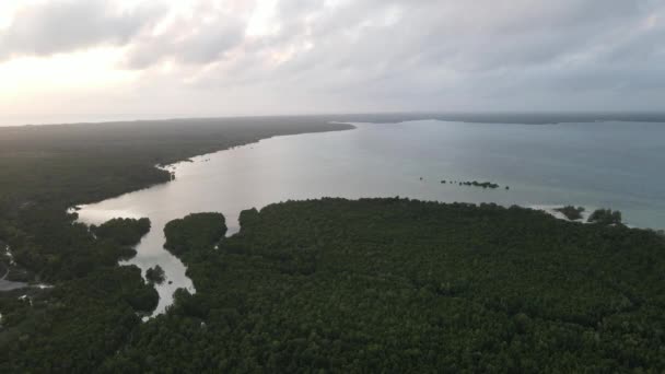 Zanzibar, Tanzanya - yeşil çalılıklarla kaplı okyanus kıyısı — Stok video