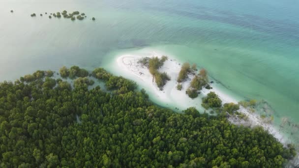 Zanzibar adası kıyıları, Tanzanya çalılıklarla kaplı. — Stok video