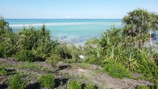 Zanzibár, Tanzánia - az óceán partja zöld bozótosokkal borítva — Stock videók