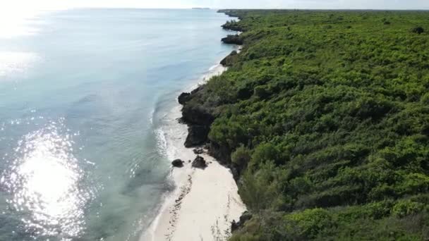 Kust van Zanzibar eiland, Tanzania bedekt met struikgewas — Stockvideo
