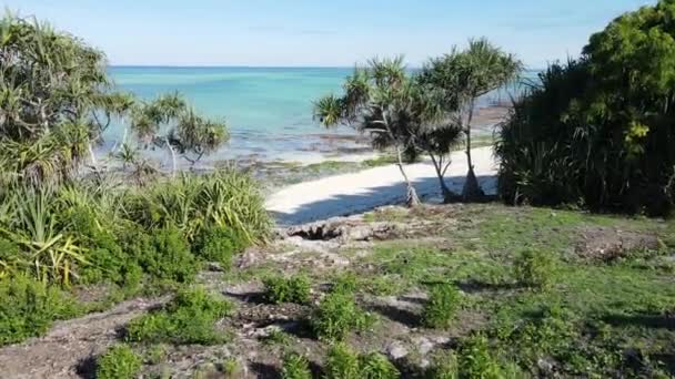 Sansibar, Tansania - Meeresküste mit grünem Dickicht bedeckt — Stockvideo