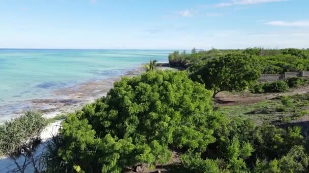 Costa de la isla de Zanzíbar, Tanzania cubierta de matorrales — Vídeo de stock