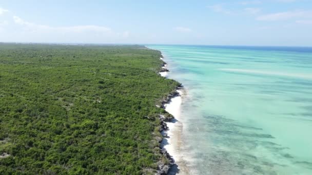 Côte de l'île de Zanzibar, Tanzanie couverte de fourrés — Video