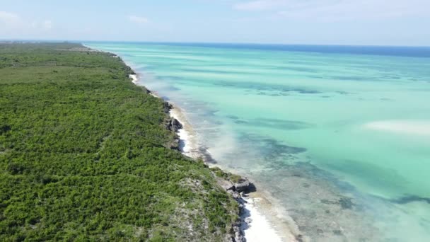 Côte de l'île de Zanzibar, Tanzanie couverte de fourrés — Video