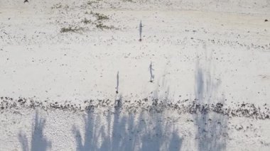 İnsanlar Tanzanya 'nın Zanzibar plajında futbol oynuyor.