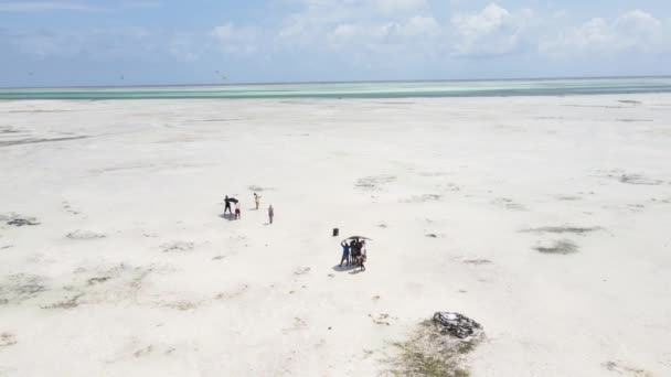 Filmación de un vídeo musical con marea baja en el océano frente a la costa de Zanzíbar, Tanzania — Vídeo de stock