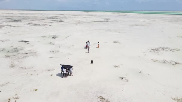 Filmar en musikvideo vid lågvatten i havet utanför Zanzibars kust, Tanzania — Stockvideo