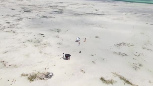 Filmación de un vídeo musical con marea baja en el océano frente a la costa de Zanzíbar, Tanzania — Vídeo de stock