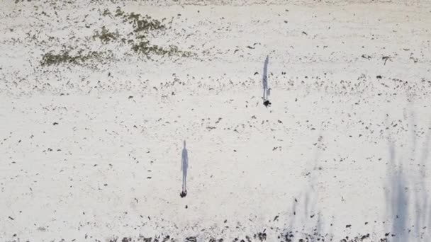 Mensen voetballen op het strand in Zanzibar, Tanzania — Stockvideo