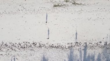 İnsanlar Tanzanya 'nın Zanzibar plajında futbol oynuyor.