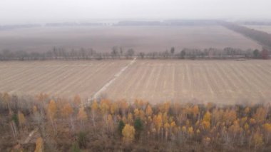 Sonbaharda boş tarla, hava manzarası
