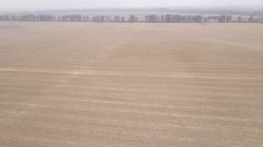 Sonbaharda boş tarla, hava manzarası