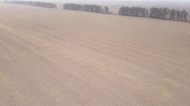 Sonbaharda boş tarla, hava manzarası
