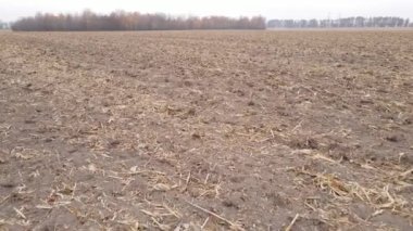 Sonbaharda boş tarla, hava manzarası